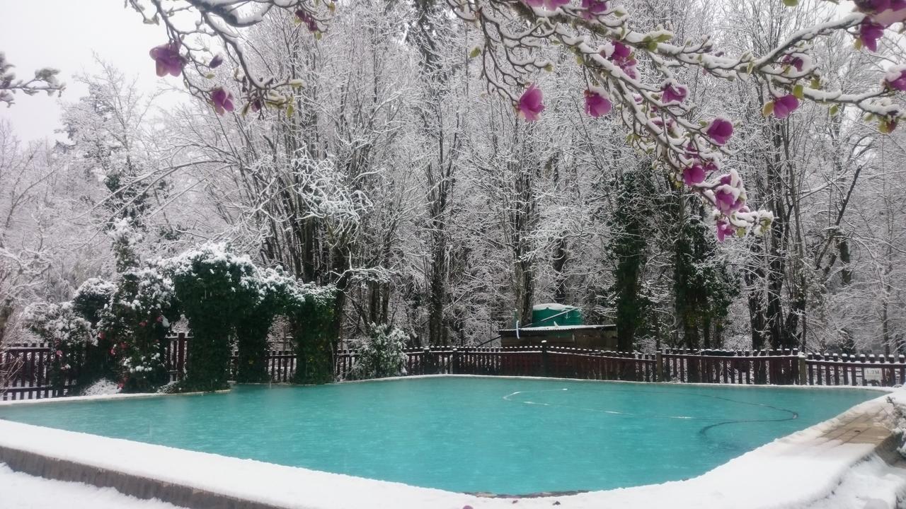 The Hogsback Inn المظهر الخارجي الصورة